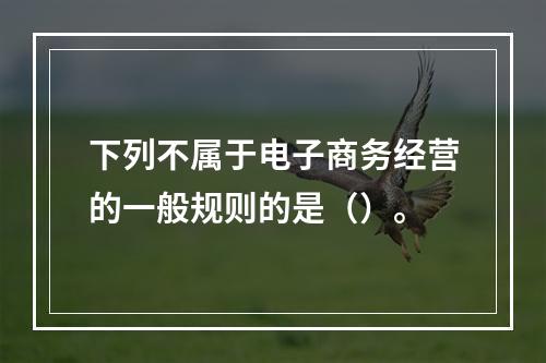 下列不属于电子商务经营的一般规则的是（）。