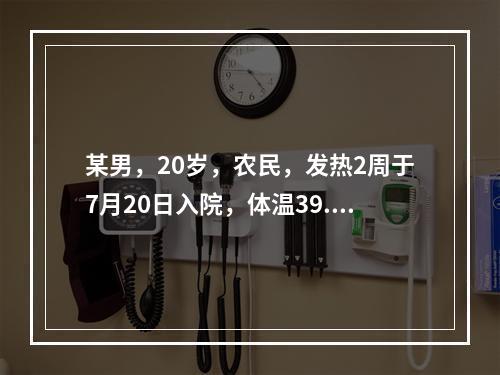 某男，20岁，农民，发热2周于7月20日入院，体温39.2℃