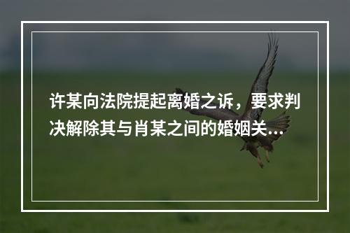 许某向法院提起离婚之诉，要求判决解除其与肖某之间的婚姻关系，