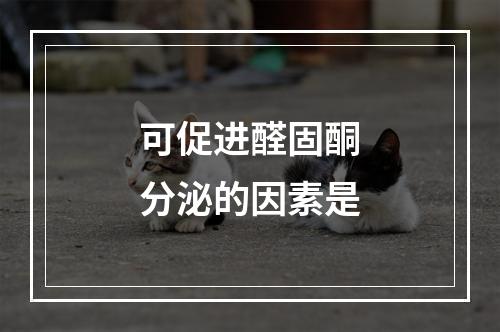 可促进醛固酮分泌的因素是