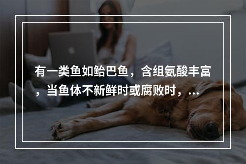 有一类鱼如鲐巴鱼，含组氨酸丰富，当鱼体不新鲜时或腐败时，易形