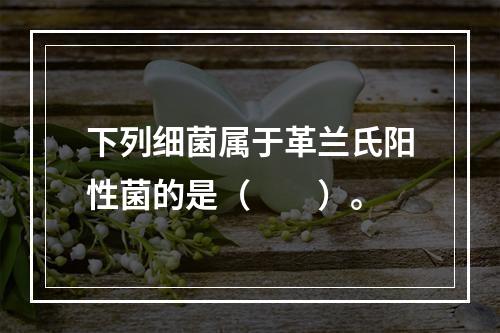 下列细菌属于革兰氏阳性菌的是（　　）。