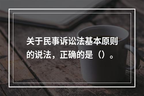 关于民事诉讼法基本原则的说法，正确的是（）。