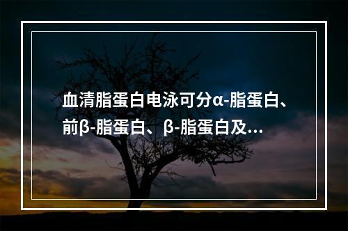 血清脂蛋白电泳可分α-脂蛋白、前β-脂蛋白、β-脂蛋白及CM