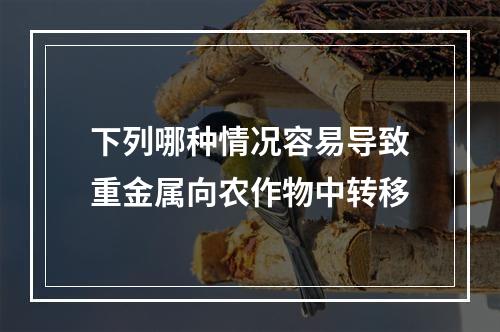 下列哪种情况容易导致重金属向农作物中转移