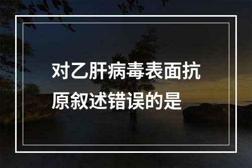 对乙肝病毒表面抗原叙述错误的是