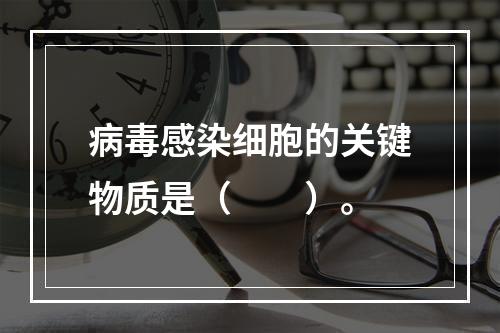 病毒感染细胞的关键物质是（　　）。