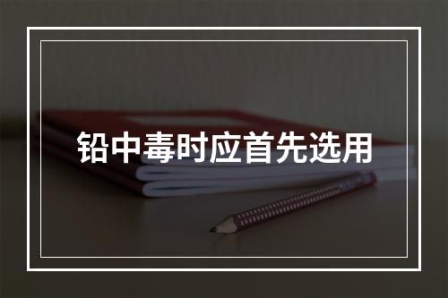 铅中毒时应首先选用