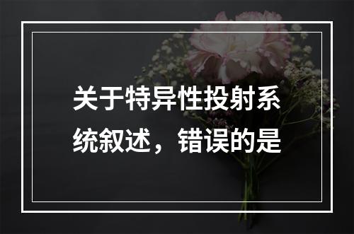 关于特异性投射系统叙述，错误的是