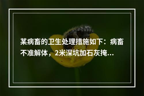 某病畜的卫生处理措施如下：病畜不准解体，2米深坑加石灰掩埋，