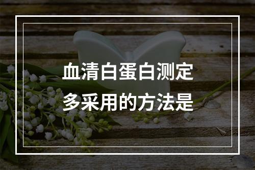 血清白蛋白测定多采用的方法是