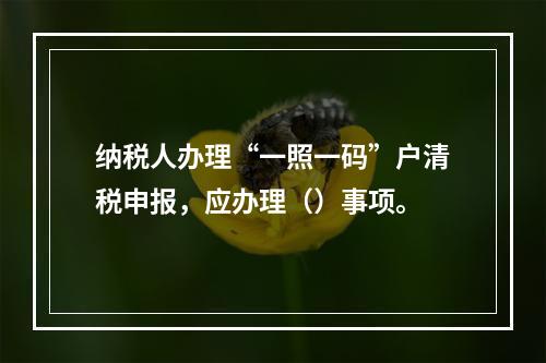 纳税人办理“一照一码”户清税申报，应办理（）事项。