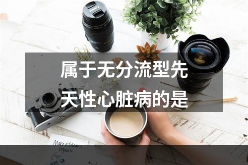 属于无分流型先天性心脏病的是