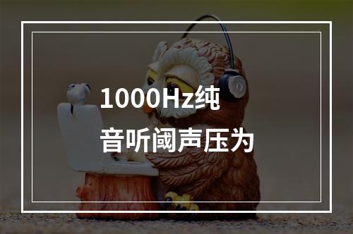 1000Hz纯音听阈声压为