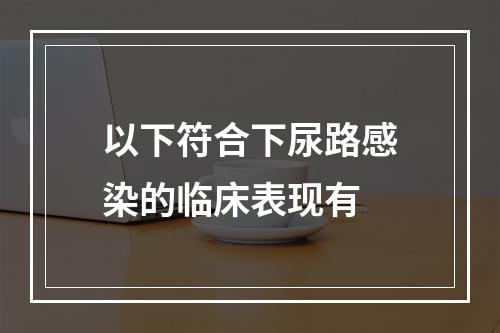 以下符合下尿路感染的临床表现有