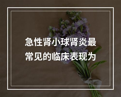 急性肾小球肾炎最常见的临床表现为