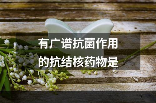 有广谱抗菌作用的抗结核药物是