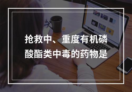 抢救中、重度有机磷酸酯类中毒的药物是