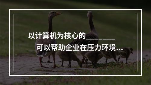 以计算机为核心的_________可以帮助企业在压力环境下生