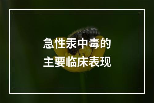 急性汞中毒的主要临床表现