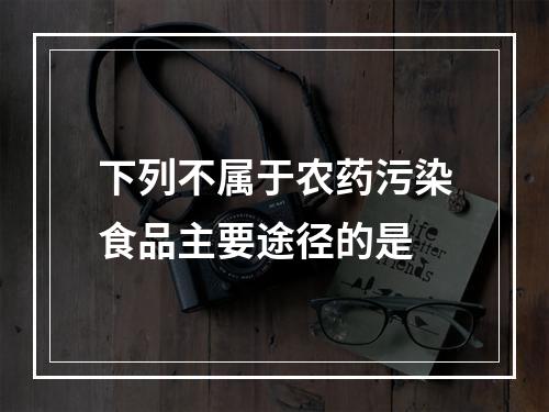 下列不属于农药污染食品主要途径的是