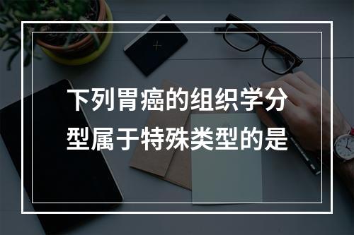 下列胃癌的组织学分型属于特殊类型的是