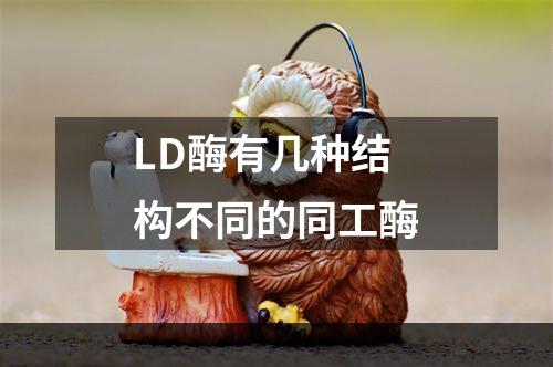 LD酶有几种结构不同的同工酶