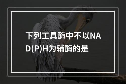 下列工具酶中不以NAD(P)H为辅酶的是