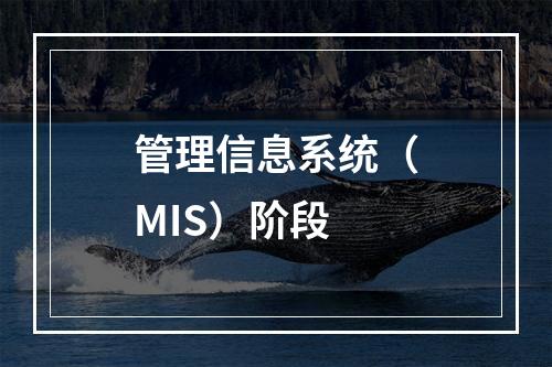 管理信息系统（MIS）阶段