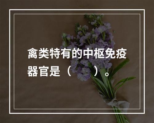 禽类特有的中枢免疫器官是（　　）。