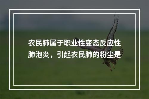 农民肺属于职业性变态反应性肺泡炎，引起农民肺的粉尘是