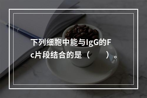 下列细胞中能与IgG的Fc片段结合的是（　　）。