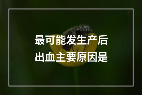 最可能发生产后出血主要原因是