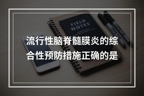 流行性脑脊髓膜炎的综合性预防措施正确的是