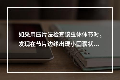 如采用压片法检查该虫体体节时，发现在节片边缘出现小圆囊状的节