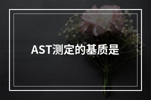 AST测定的基质是