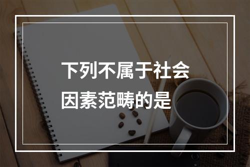 下列不属于社会因素范畴的是