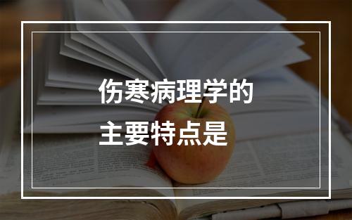 伤寒病理学的主要特点是