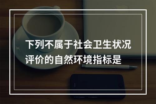 下列不属于社会卫生状况评价的自然环境指标是