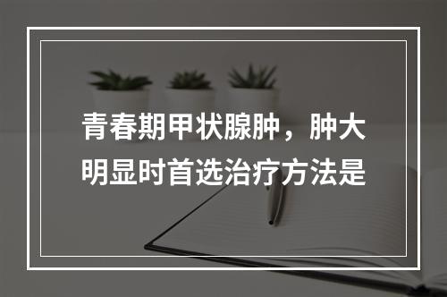 青春期甲状腺肿，肿大明显时首选治疗方法是