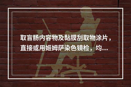 取盲肠内容物及黏膜刮取物涂片，直接或用姬姆萨染色镜检，均检出