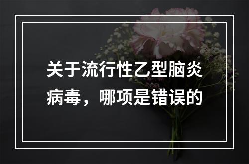 关于流行性乙型脑炎病毒，哪项是错误的