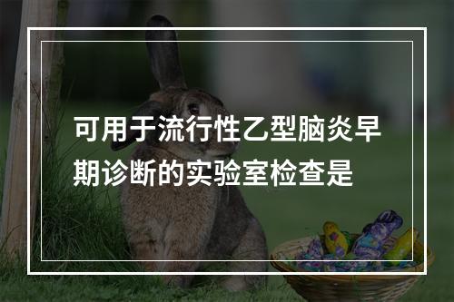 可用于流行性乙型脑炎早期诊断的实验室检查是