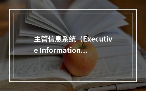 主管信息系统（Executive Information S