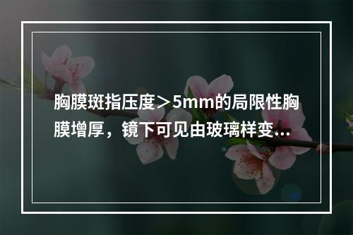 胸膜斑指压度＞5mm的局限性胸膜增厚，镜下可见由玻璃样变的粗