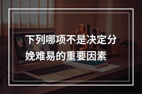 下列哪项不是决定分娩难易的重要因素