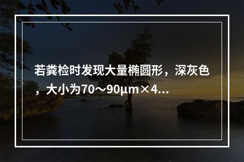 若粪检时发现大量椭圆形，深灰色，大小为70～90μm×47～