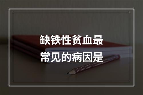 缺铁性贫血最常见的病因是