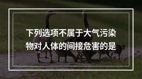 下列选项不属于大气污染物对人体的间接危害的是