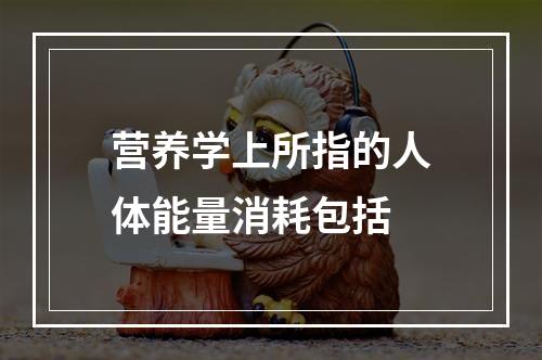 营养学上所指的人体能量消耗包括